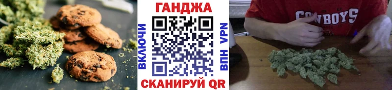 Купить закладки  Знаменск  Cannafood конопля 