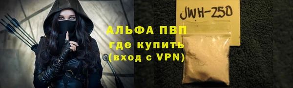 амф Валдай