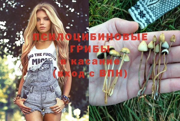прущая мука Валуйки