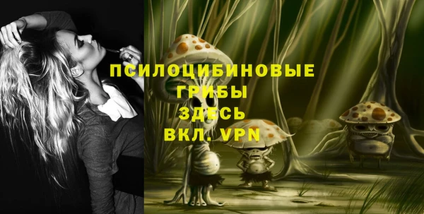 амф Валдай
