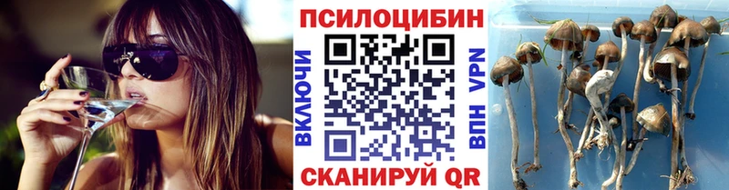Галлюциногенные грибы прущие грибы  Купить  Знаменск