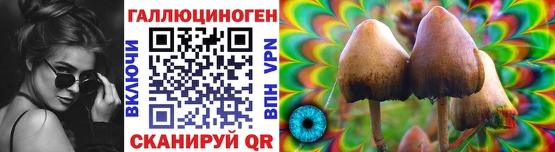 Галлюциногенные грибы Psilocybe Знаменск